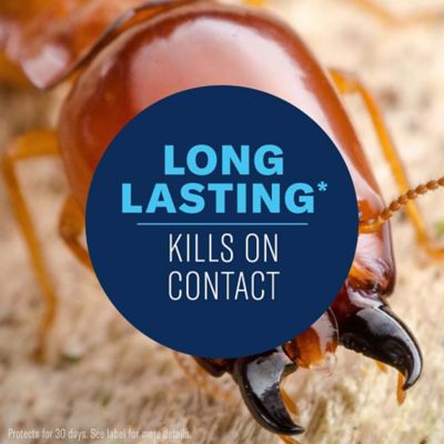 Image showing  Ready to Spread Termite Killer Granules, 9 lbs.