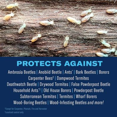 Image showing  Ready-to-Use Termite and Carpenter Bee Insect Killer Foam, 18 oz.