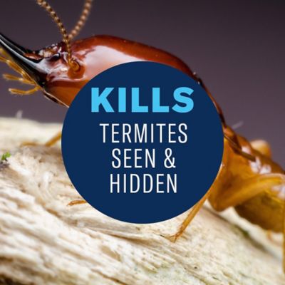 Image showing  Ready-to-Use Termite and Carpenter Bee Insect Killer Foam, 18 oz.