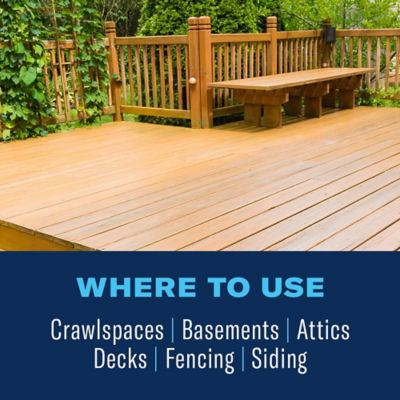 Image showing  Ready-to-Use Termite and Carpenter Bee Insect Killer Foam, 18 oz.