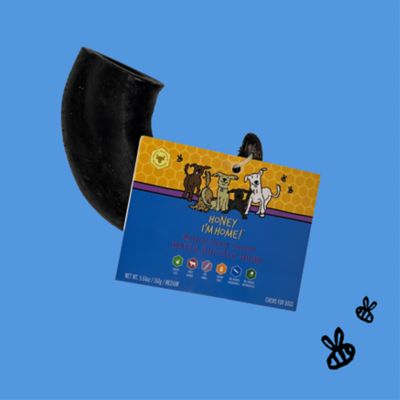 Image showing  Natural Honey Coated Water Buffalo Medium Horn Bulk Dog Treat