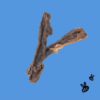 Image showing  Natural Honey Coated Water Buffalo Udder Sticks Dog Treat