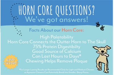 Image showing  Natural Honey Coated Water Buffalo Horn Core Dog Treat