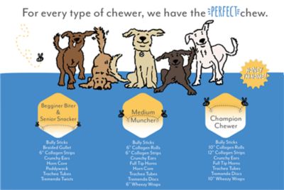 Image showing  Natural Honey-Coated Water Buffalo Bully Sticks Dog Treat, 12 in.