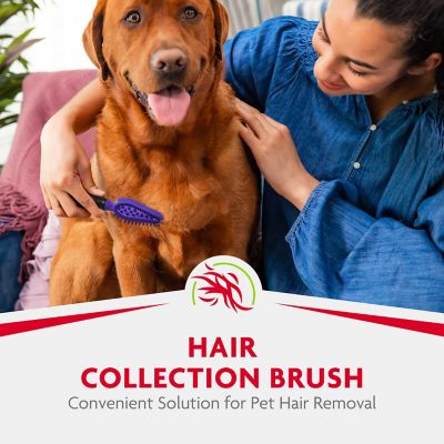 Image showing  Hair Collection Brush