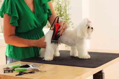 Image showing 5 th Andis Easy Clip Starter Kit