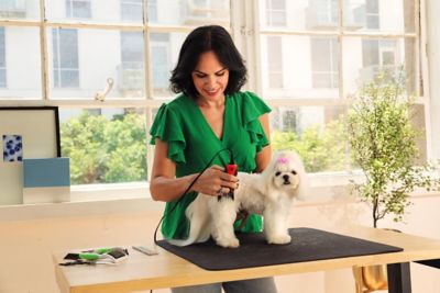 Image showing 6 th Andis Easy Clip Starter Kit