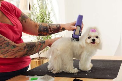 Image showing 6 th Andis Easy Clip Cordless II Kit