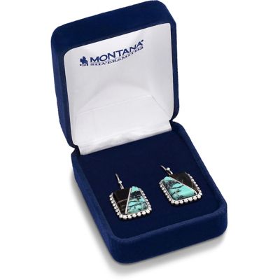 Image showing  Double Essence Earrings, ER6013