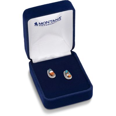 Image showing  Mountain Glacier Treasures Earrings, ER6015
