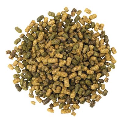 Image showing  Sentinel Grow & Excel