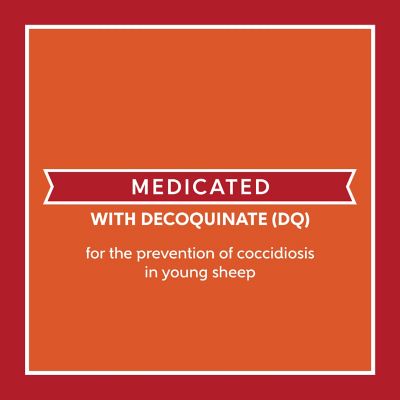 Image showing  Home Fresh 18 Sheep Starter Grower 18DQ