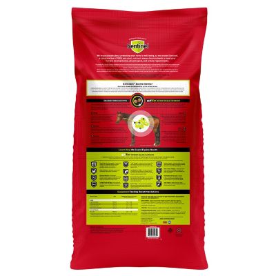 Image showing  Sentinel Active Senior