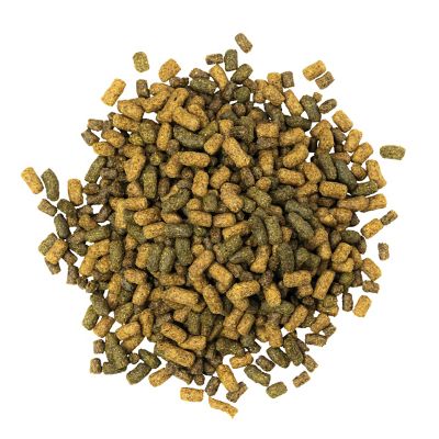 Image showing  Sentinel Active Senior