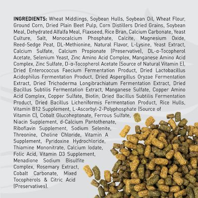 Image showing  Sentinel Active Senior