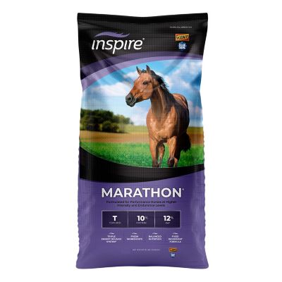Kent Blue Seal Inspire Marathon
