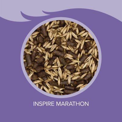 Image showing  Inspire Marathon