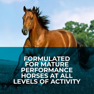 Image showing  Inspire Sport