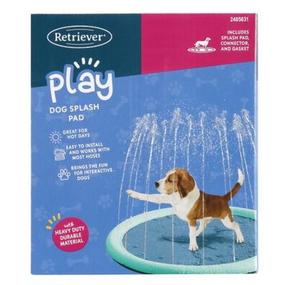 Image showing  Dog Splash Pad