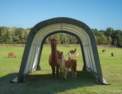 Image showing  12 x 20 x 8 3-in-1 Run In Shelter Round Green