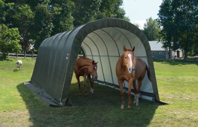 Image showing  12 x 24 x 9 3-in-1 Run In Shelter Round Green
