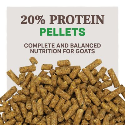 Image showing 2 th Kent Blue Seal Home Fresh 20 Dairy Goat