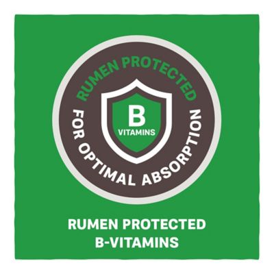 Image showing 3 th Kent Blue Seal Home Fresh 20 Dairy Goat