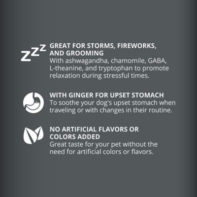 Image showing  Calming Aid Supplement Bars for Dogs, 6 ct.