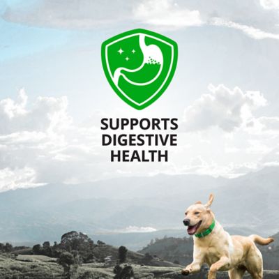 Image showing  Digestive Aid Supplement Bars for Dogs, Peanut Butter Flavor, 6 ct.