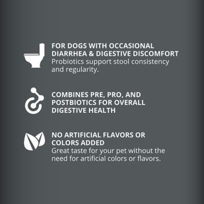 Image showing  Digestive Aid Supplement Bars for Dogs, Peanut Butter Flavor, 6 ct.