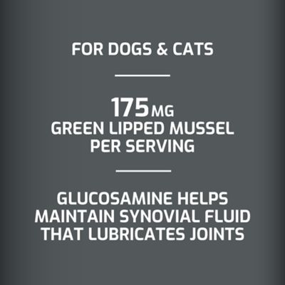 Image showing  Hip and Joint Supplement Powder for Dogs, 180g