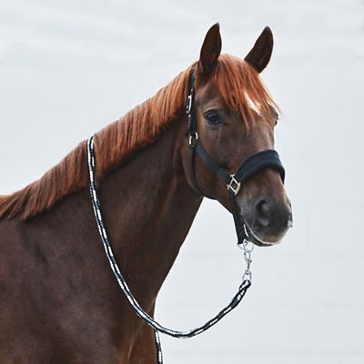 Image showing  Kiel Halter with Fleece