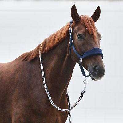 Image showing  Kiel Halter with Fleece