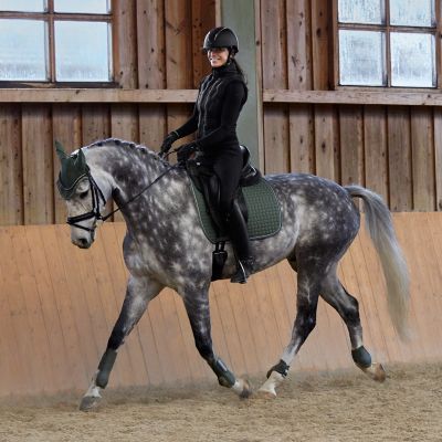 Image showing  Adepto Ear Net