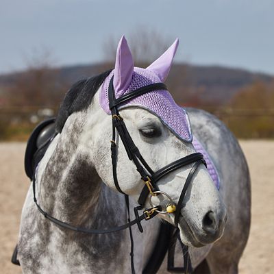 Image showing  Adepto Ear Net