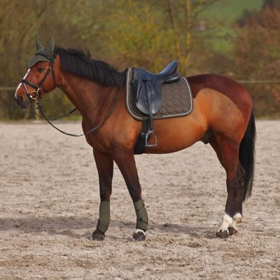 Image showing  Marquess Ear Net