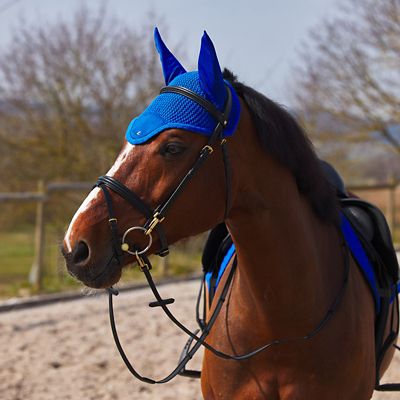 Image showing  Cooling Ear Net