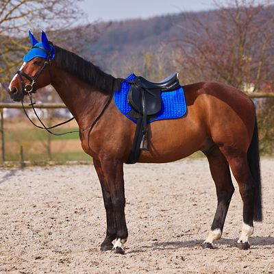 Image showing  Cooling Ear Net