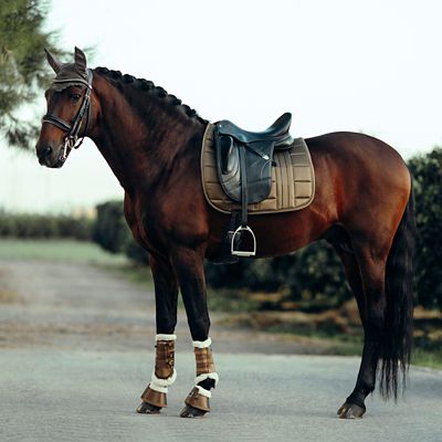 Image showing  Drew Ear Net