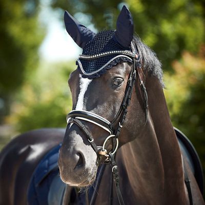 Image showing  Ghent Ear Net