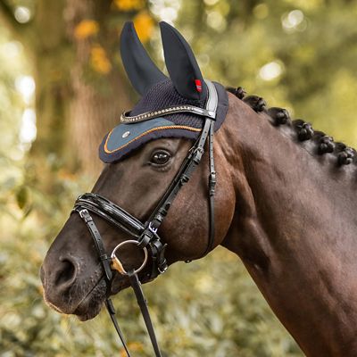 Image showing  Quinn Ear Net