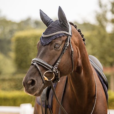 Image showing  Victoria Ear Net