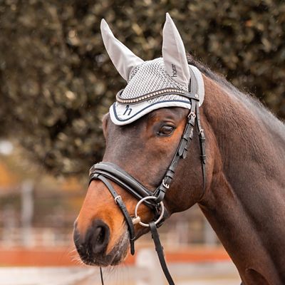 Image showing  Wicklow Ear Net