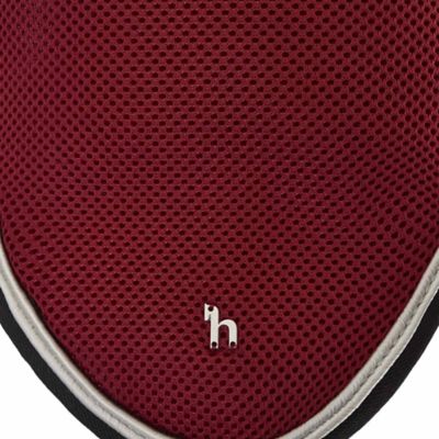 Image showing  Smoky Twilight Air Mesh Ear Net