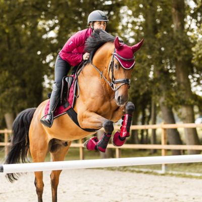Image showing  Smoky Twilight Air Mesh Ear Net