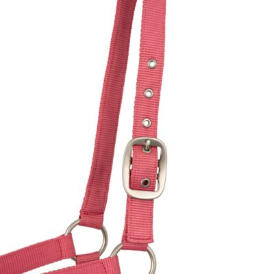 Image showing  Rose Tonique Halter