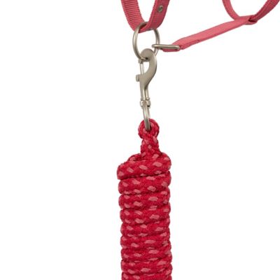 Image showing  Rose Tonique Halter