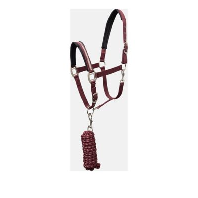 Image showing  Physical Sophistication Halter and Lead Set