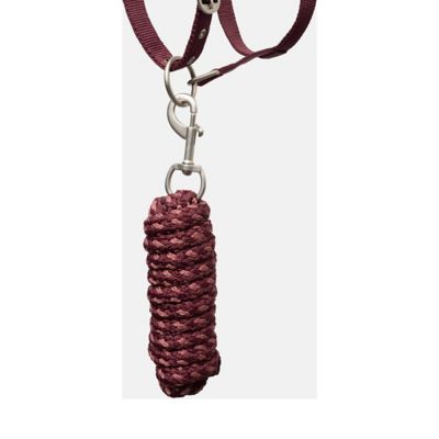 Image showing  Physical Sophistication Halter and Lead Set