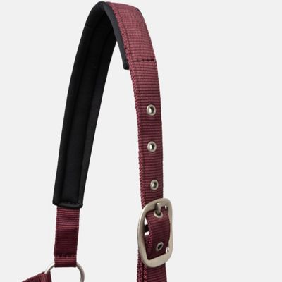 Image showing  Physical Sophistication Halter and Lead Set